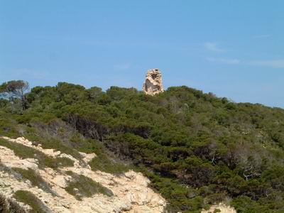 DSCF0100.JPG